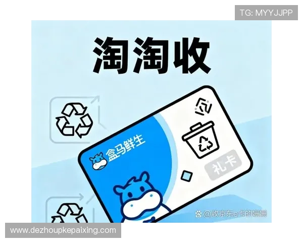 掌握pock在线登录技巧，提升账号安全和使用体验的实用方法