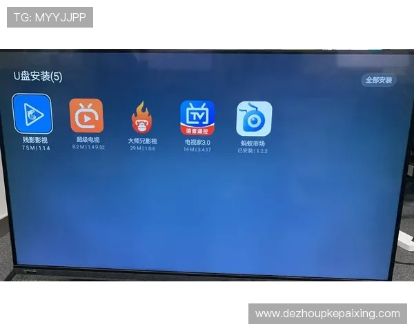 自动化扑克牌21点软件分析与使用注意事项